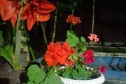 کلبه سوئیسی دوبلکس دوخواب کوچولو در بندرانزلی