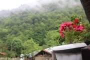 ویلا مبله جنگلی دو خواب شالماکوه در ماسال