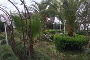 ویلا سه خواب 1 در محمودآباد