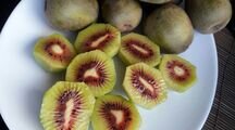 سوییت در ویلا باغ ژرفای خیال
