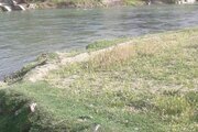 آپارتمان مبله دوخواب در سامان