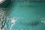 ویلا باغ دوبلکس استخردار مبله دوخواب بانوی شرقی 2 در پردیس