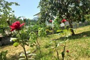 ویلای دوبلکس بلوط در اسالم