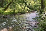واحد دو خواب مبله در طبقه دوم ویلا ماسال