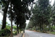 ویلا دوخواب در شهرک ساحلی دریاکنار