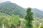 واحد طبقه بالا جنگلی دوبلکس امیر در ماسال