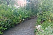 ویلا مبله تکخواب امیرنیا در اسالم