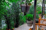 کلبه 80 متری دربست در قائمشهر