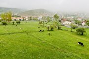 آپارتمان مبله تکخواب لوکس در کلاردشت