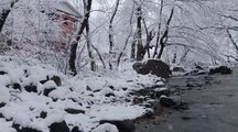 واحدسه خواب در طبقه دوم ویلاجنگلی گیجاو اسالم