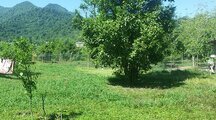 ویلا باغ خاطره درروستای میرمحله ماسال