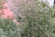 کلبه دو خواب دامون در ماسال