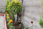 کلبه سوئیسی دوبلکس تکخواب جکوزی دار 2 در بابل
