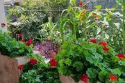 ویلای ساحلی دو خوابه تیجا میجا