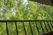 کلبه جنگلی طبقه ی دوم در سواد کوه