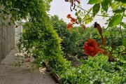 سوئیت سنتی باغ انجیر در ورامین