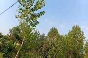 ویلا مبله دو خواب در تالش