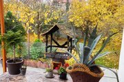 خانه ویلایی دو خواب مبله در ساری