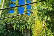 آپارتمان مبله سه خواب پاکباز در سی سخت