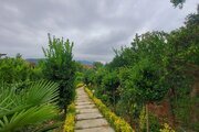 کلبه سوئیسی دوبلکس دوخواب دوکیجا در چابکسر