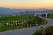 باغ ویلا دو خواب مبله در دیلمان