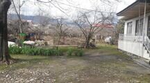 ویلای سه خواب جنگلی در تالش