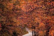 واحد دوخواب در طبقه اول ویلای افراتخته در علی آباد