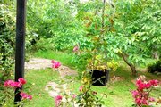 خانه ویلایی دو خواب بهشت در رشت