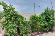 ویلای شهرزاد در رامسر