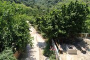 ویلای جنگلی انارستان مازندران رستمکلا