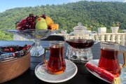 ویلا دوبلکس استخردار دوخواب مبله آرشام در شفت