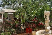 باغ ویلا مبله تک خواب در  پاکدشت