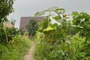 سوئیت ویلا سنتی در گرگان