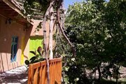 اتاق در اقامتگاه بومگردی در اسفراین