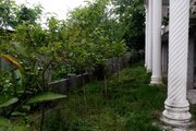 باغ ویلا سه خواب مبله در نور