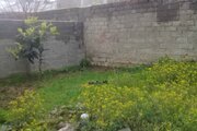 آپارتمان مبله دو خواب در ماسال
