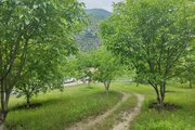 واحد تکخواب در طبقه همکف ویلای سواد کوه