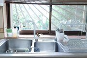 ویلا مبله دوخواب در تنکابن