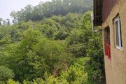 ویلا جنگلی دو خواب شمشاد در اربه کله