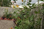 ویلای ساحلی دو خوابه تیجا میجا