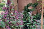 واحد تکخواب مبله 65 متری در بومگردی مشهد