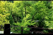 کلبه سوئیسی دوبلکس چوبی دوخواب در اسالم