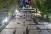 ویلا باغ استخردار مبله دوخواب مدرن بهار در شهریار
