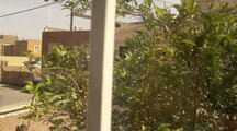 آپارتمان تک خواب در کاشان
