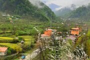 کلبه دوبلکس دوخواب مبله در سوادکوه