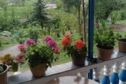 ویلا جنگلی دوخواب محمدحسین در تالش