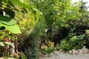 واحد تک خواب در طبقه همکف ویلا چالوس