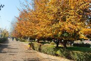 سوئیت مبله 60 متری مهر در رشت