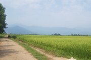 ویلا مبله دوخواب طبیعت در ماسال