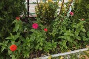 ویلا استخردار مبله دوخواب در ساوجبلاغ
